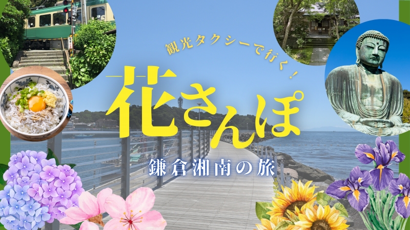 日帰り観光「鎌倉湘南」コース運行開始 日帰り観光「鎌倉湘南」コース運行開始