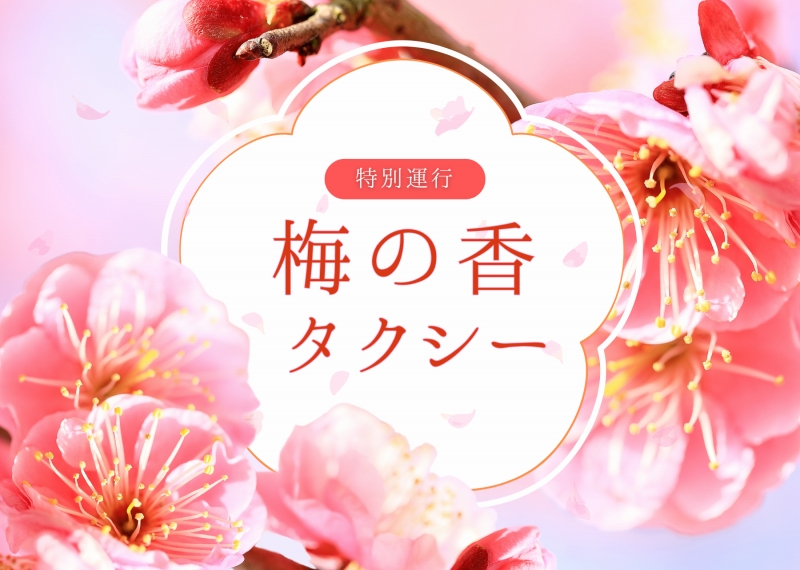 「梅の香タクシー」期間限定運行